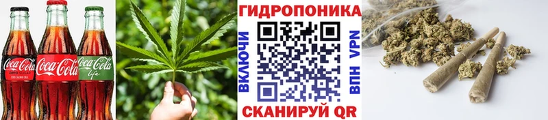 Cannafood конопля  Починок 
