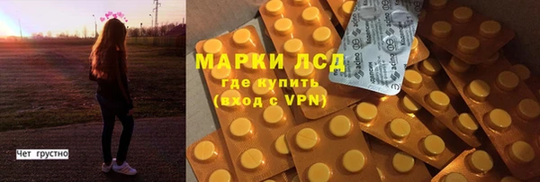 прущие грибы Алексеевка