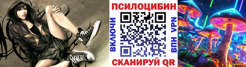 omg маркетплейс Починок Галлюциногенные грибы Magic Shrooms где можно купить наркотик